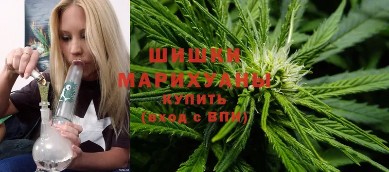 как найти наркотики  Тутаев  Бошки Шишки OG Kush 